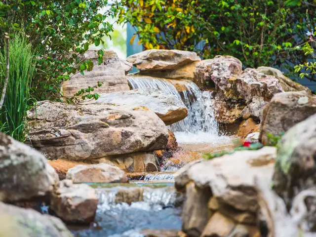 Pond and stream built by Waterscapes Backyard Resorts in Middle Tennessee