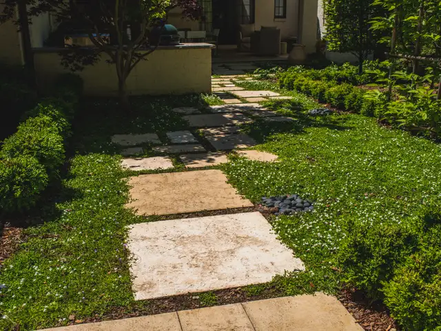 Walkway and hardscape built by Waterscapes Backyard Resorts in Middle Tennessee