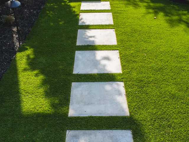 Walkway and hardscape built by Waterscapes Backyard Resorts in Middle Tennessee