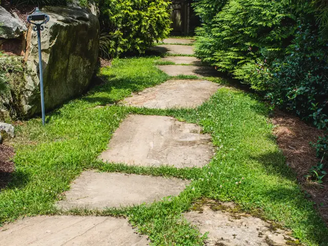 Walkway and hardscape built by Waterscapes Backyard Resorts in Middle Tennessee