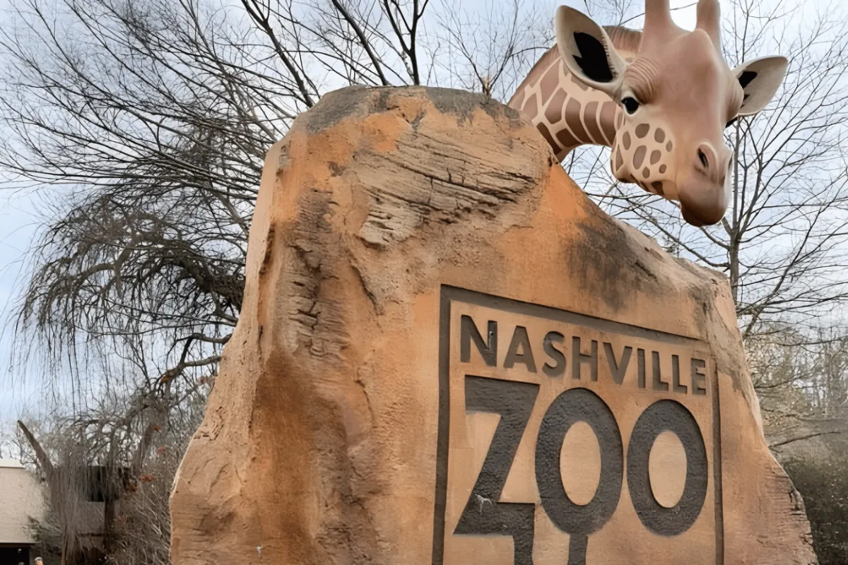 Giraffe at the Nashville Zoo entrance sign — a Waterscapes Backyard Resorts commercial project