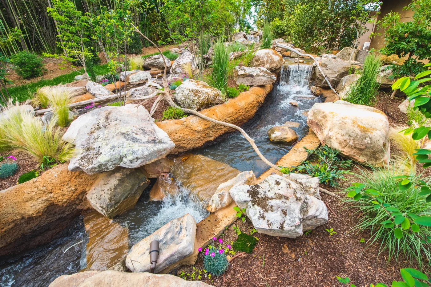 Nashville Zoo Stream Feature